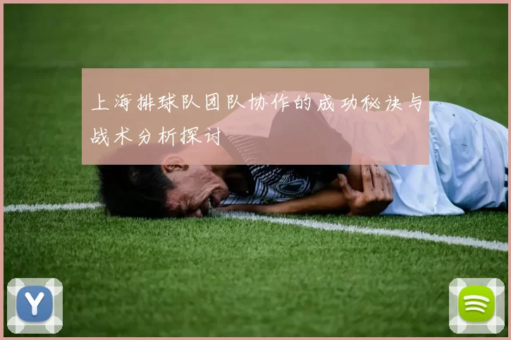 上海排球队团队协作的成功秘诀与战术分析探讨