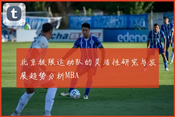 北京极限运动队的灵活性研究与发展趋势分析MBA