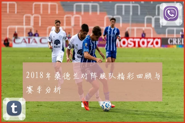 2018年桑德兰对阵狼队精彩回顾与赛季分析