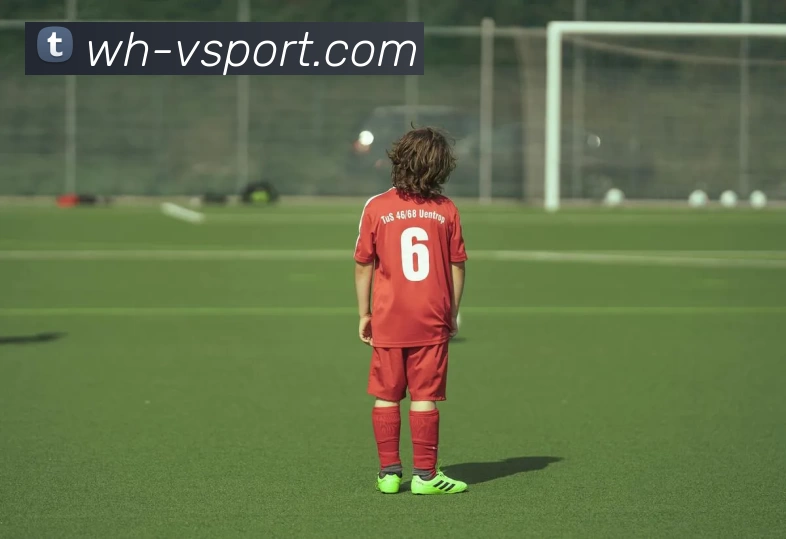 App Interface Preview