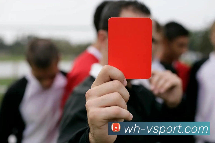 v体育APP 封面图